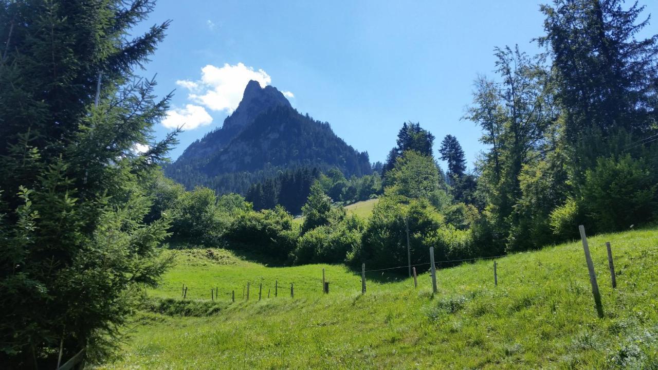 Wettermatte Vila Kiental Exterior foto